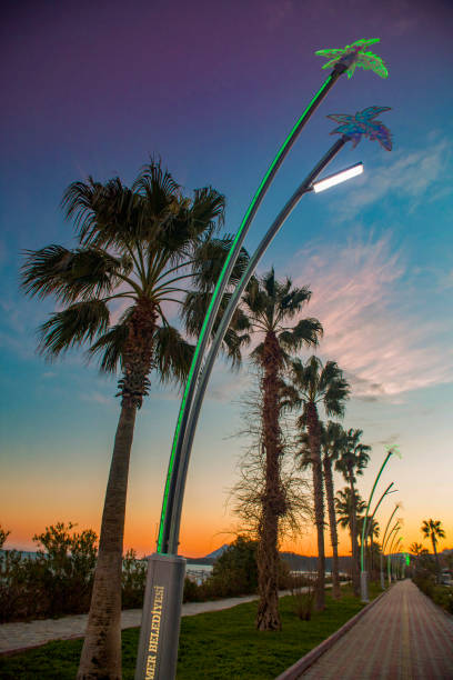 istock Colorful lights sunrise colors 2158808123