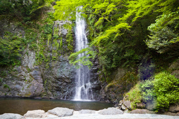 istock Mino waterfall in Mino Park, Osaka prefecture, Japan. 2158811713