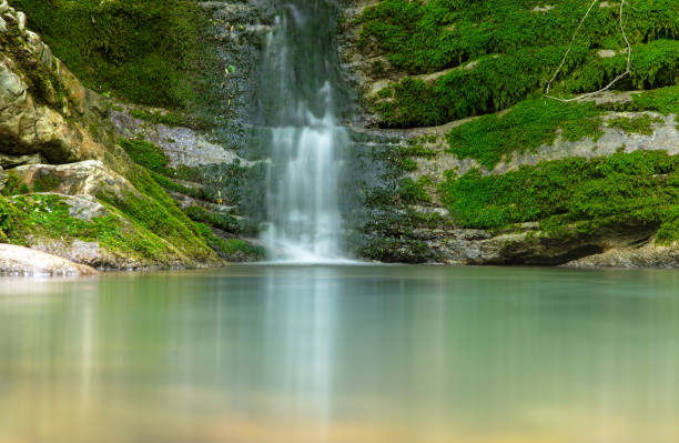 Beautiful waterfall in the forest in the park.