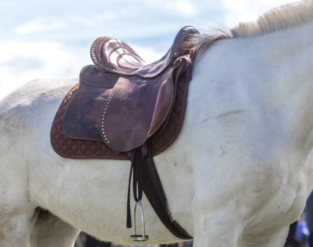 saddle