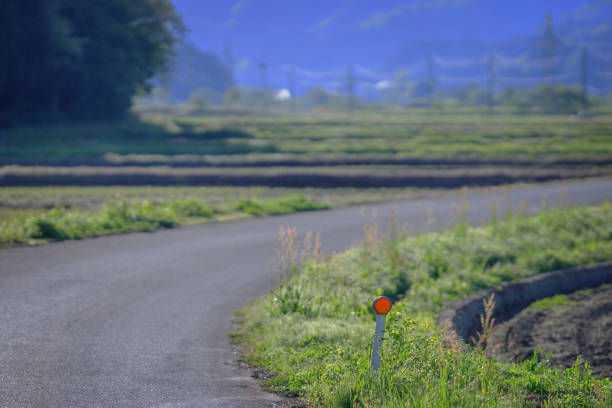 Reflectors on farm roads
