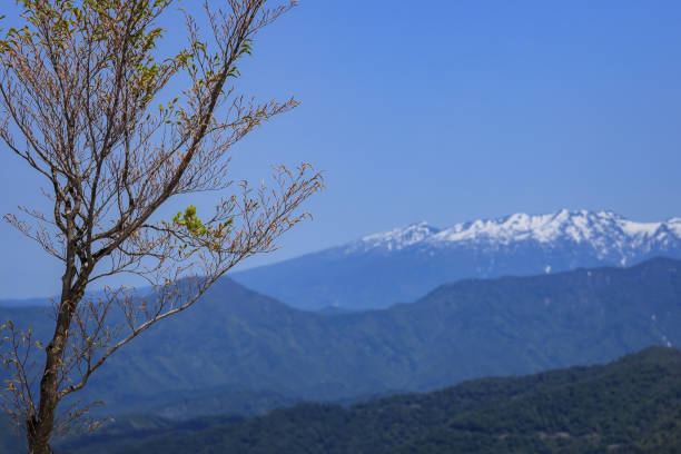 Mountains with young leaves and snow remaining