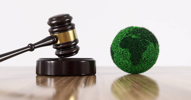 istock Environment Law. Green Globe World and gavel hammer. Environmental protection and eco-friendly legislation law. Save Earth. ESG concept 2158814621