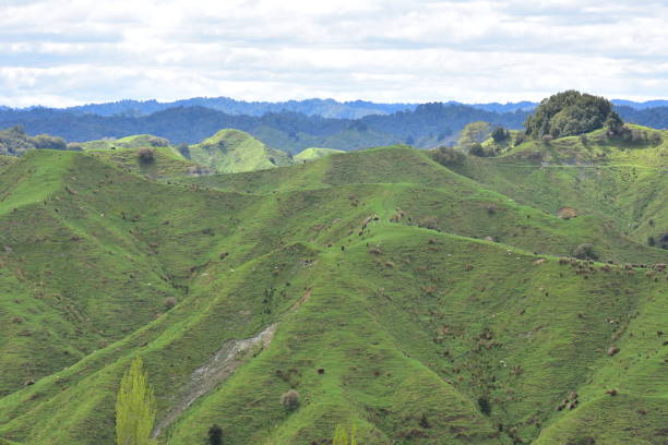 istock Hills At Forgotten World Highway 2158814712