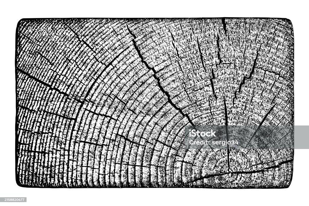 Destressed Tree Distressed Wood Texture Stock Illustration - Download Image Now ...