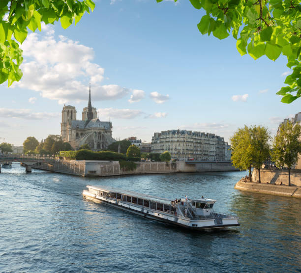 Gothic style of Notre Dame in Paris at sunset
