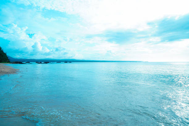 Okinawa's beautiful private beach seen from the hotel