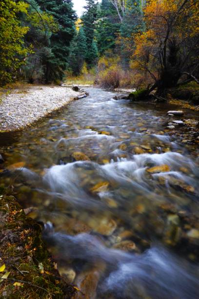 istock Carson National Forest New Mexico 2158839038
