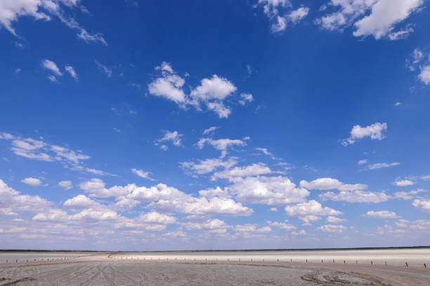 etosha salt pan lookout viewpoint