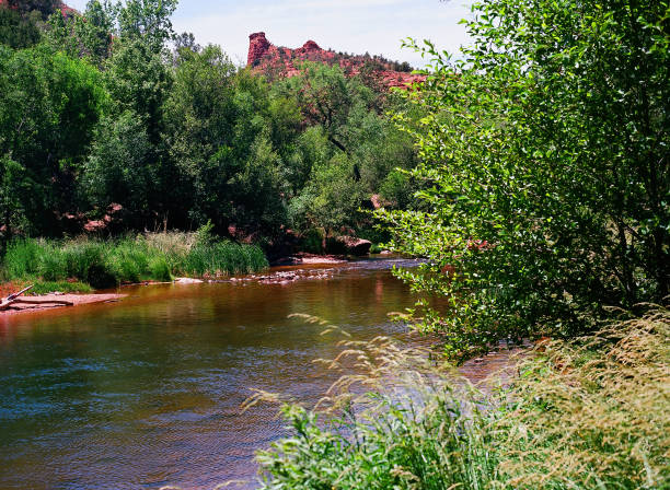 Oak Creek near Sedona Arizona