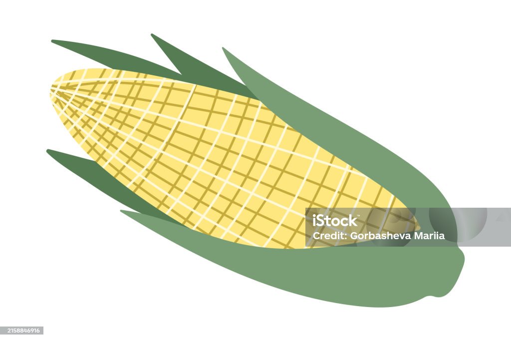 Corn Abstract Stylized Checkered Corn Corn On The Cob Abstract Vegetable Isolated ...