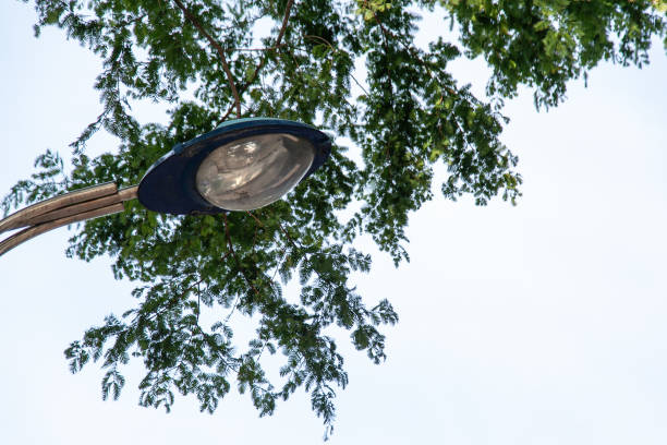 istock low angle view of the street lamp 2158849430