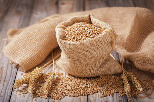 istock Wheat grains and wheat spikelets on wooden background 2158852266