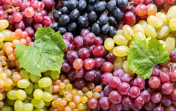 istock mix of colorful grape as background, top view 2158852269