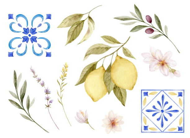 Lemon, flowers, olives and blue Mediterranean tales elements set. Watercolor illustration for cards, invitation, background, print.
