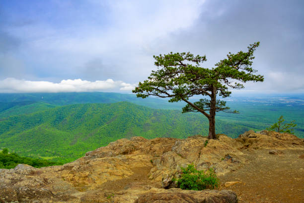 istock Overlook along Blue Ridge Parkway, Virginia: Ravens Roost 2158857013