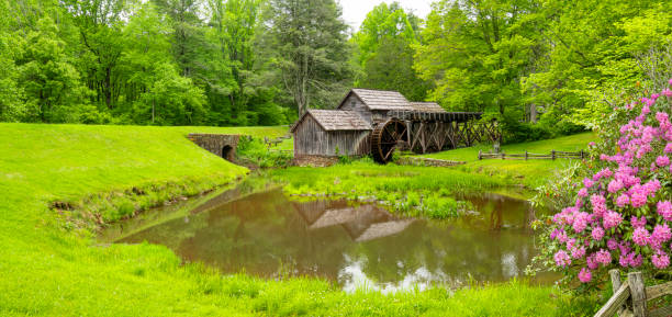 An historic grist and lumber mill located on the Blue Ridge Parkway sits alongside a pond enshrouded by fog on a late afternoon day.