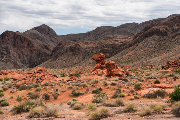 istock Valley of Fire landscape in Moapa Valley Nevada 2158857277