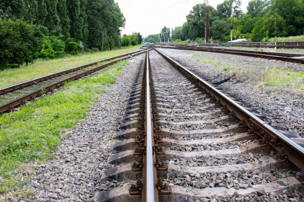 istock A Quiet Stretch of Railway Tracks Leading Through Lush Green Trees 2158858459