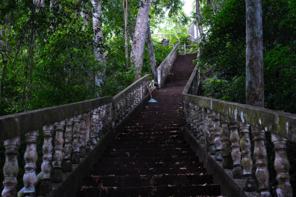 istock Stairs in the abandoned forest 2158859736