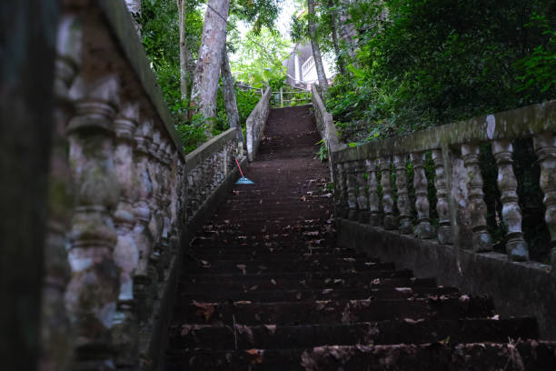 istock Stairs in the abandoned forest 2158859738