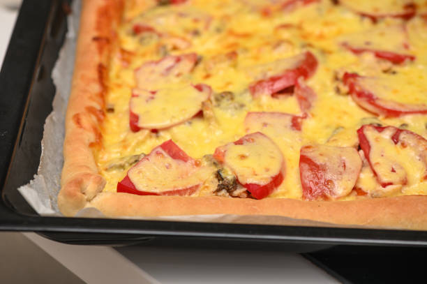 freshly baked pizza with cheese, tomatoes and chicken fillet 6