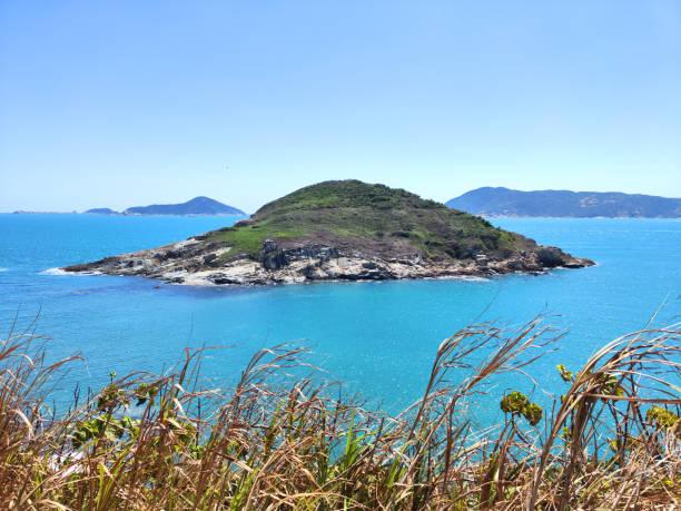 Lush vegetation and seascape view at Cape D'Aguilar, or Hok Tsui, a cape on southeastern Hong Kong Island, Hong Kong. The peninsula, where the cape is on its southeastern side, is also known as Cape D'Aguilar. It is named after Major-General George Charles D'Aguilar.
