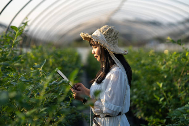 istock asian female using digital tablet in greenhouse 2158863889