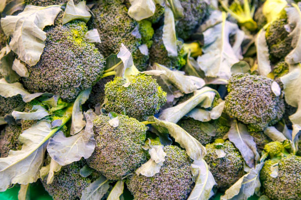 broccoli at the farm's market
