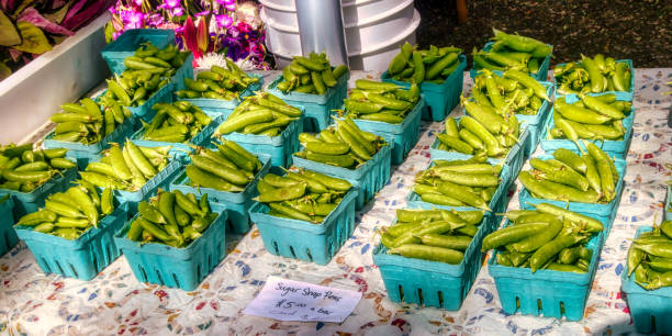Boxes of freshly harvested peas on display at the farmers market