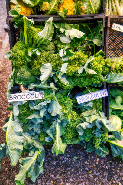 broccoli at the farm's market