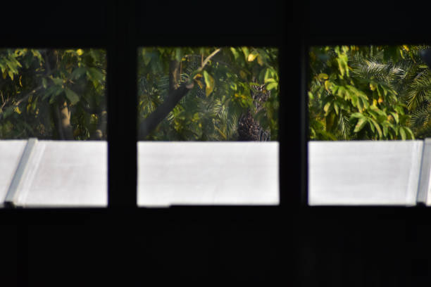 istock Looking from window with beautiful scene, city scene. Building structure. 2158870753
