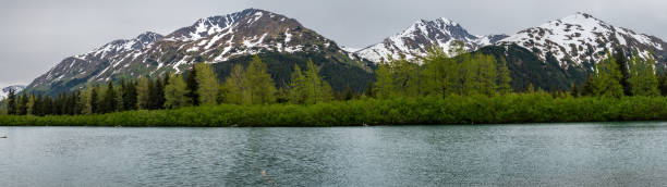 The beautiful Portage River can be seen from the highway that goes from Anchorage to Whittier, Alaska. Snow still lingers on the mountains in mid-June.