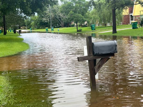 Flooded residential street