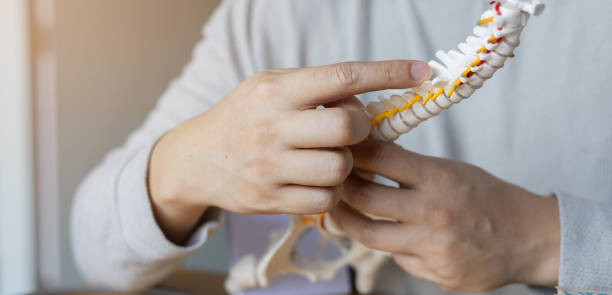 istock close up physical therapist hand pointing on human skeleton at middle back to advise and consult to patient to treatment at office for healthcare concept 2158874778