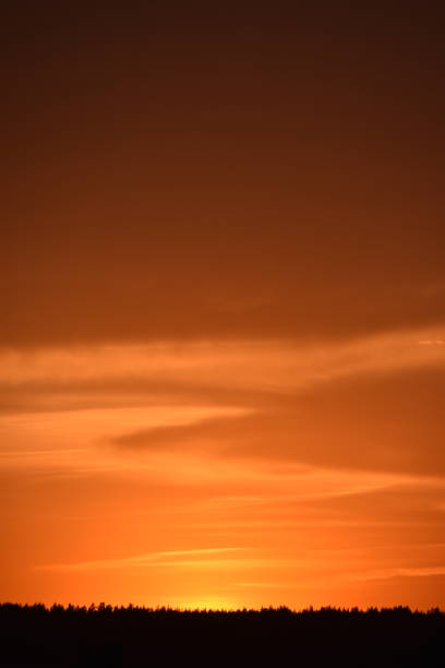A bright orange sunset and a black forest beyond the horizon. Beautiful sunset.