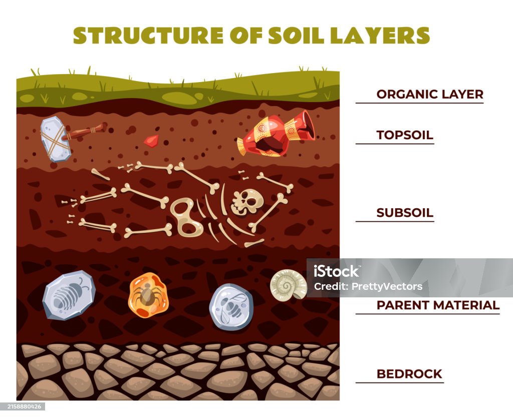 Soil Graphical Abstract Archeology Soil Structure Layers Isolated Concept Vector Flat Graphic ...