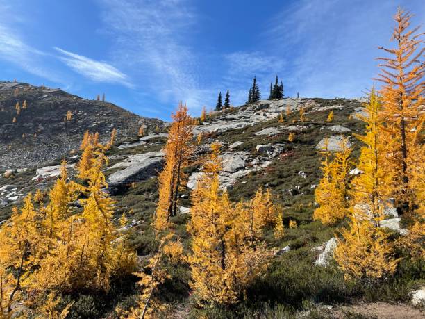 istock North Cascades National Park 2158880475