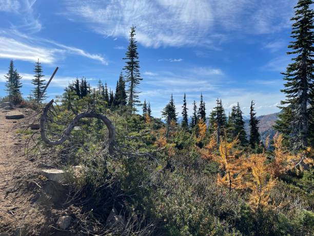 istock North Cascades National Park 2158880486