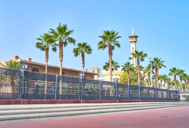 istock palm tree grows against the backdrop of the architecture of Dubai 2158880685