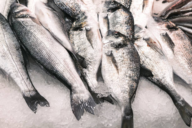 istock Fresh fish on ice at a seafood market 2158880985