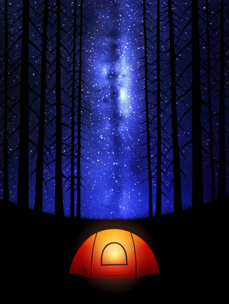 Free Stock Photo of Tent in Forest Under Starry Night Sky | Download ...