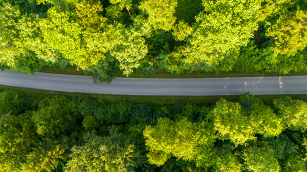 istock Straight road trough dense forest. Aerial drone view, top down. Forest Road view from above, Aerial view asphalt road 2158882904