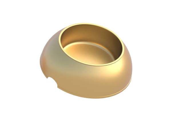 istock Golden bowl for pet isolated on white background. 3d render 2158893017