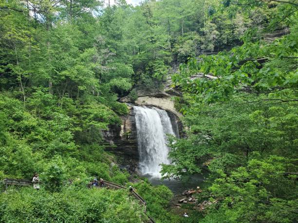 istock Looking Glass Falls, Brevard, NC, Surrounded by Forest 2158893035