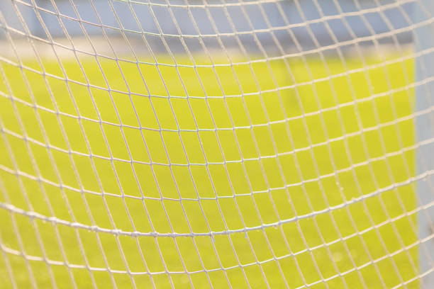 Net on a soccer goal. Football.
