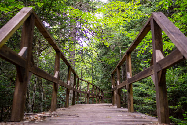 istock Horma Canyon in Kastamonu Turkey 2158905196