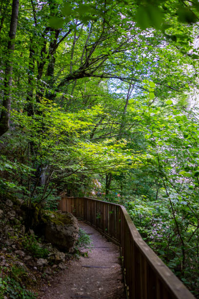 istock Horma Canyon in Kastamonu Turkey 2158905219