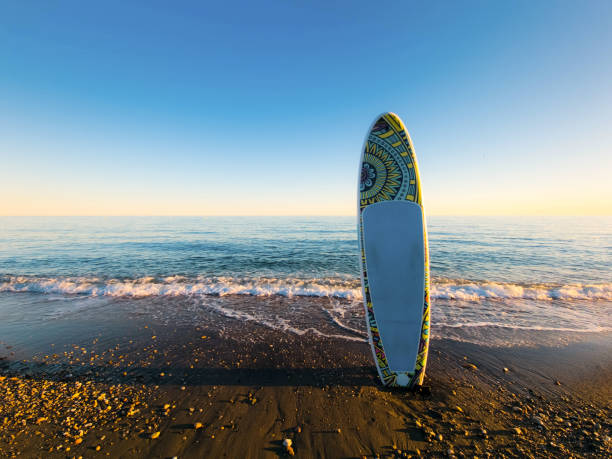 istock Standup Paddleboard on the Beach at Golden Hour 2158911548