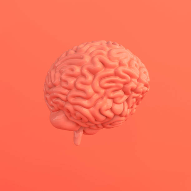 istock 3d brain rendering illustration template background. The concept of intelligence, brainstorm, creative idea, human mind, artificial intelligence. 2158912476